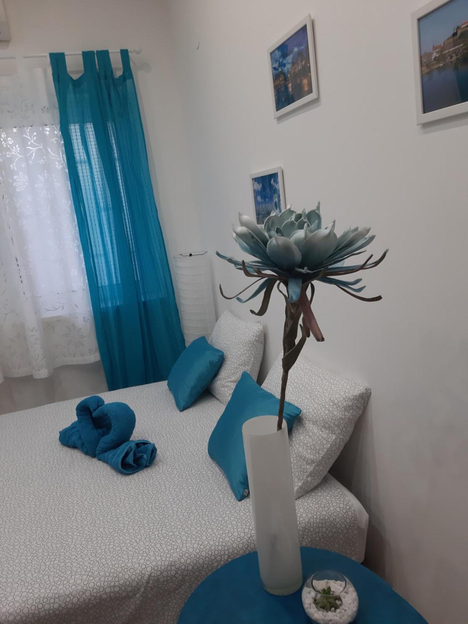 Fedra Novi Sad Exterior foto