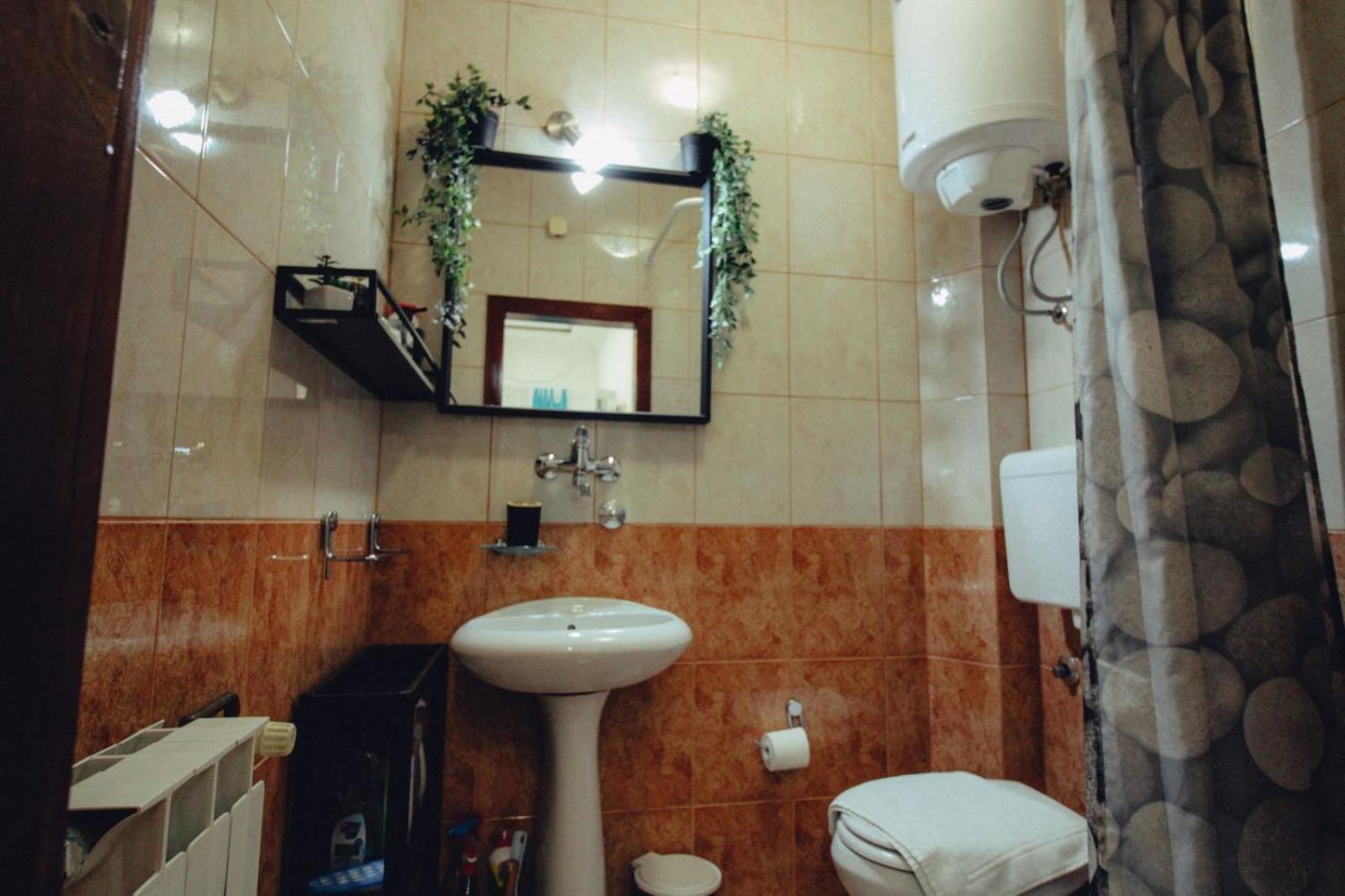 Fedra Novi Sad Quarto foto